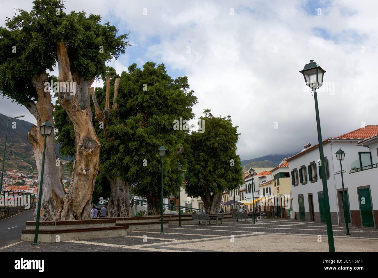 Madeira Island, Nordatlantik Stockfoto