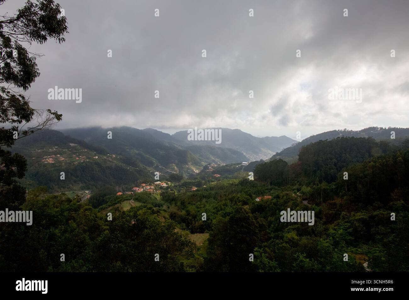 Madeira Island, Nordatlantik Stockfoto