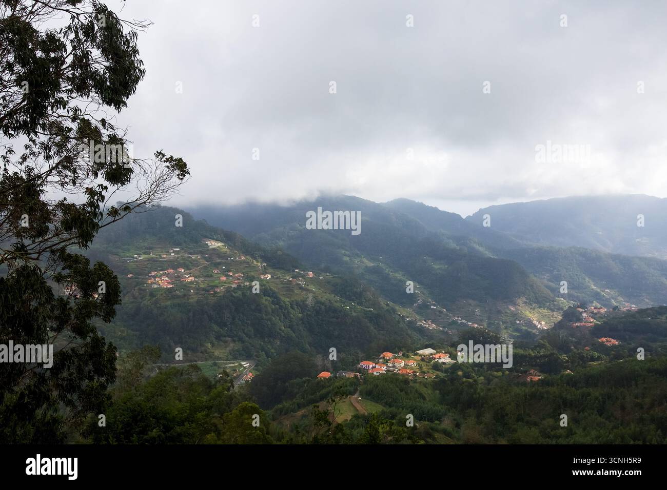 Madeira Island, Nordatlantik Stockfoto