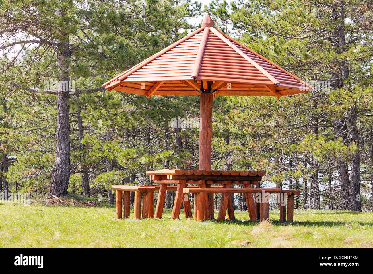 Rastbereich mit Picknicktisch und Sonnenschirm aus Holz auf einer Waldlichtung, ein ruhiger Ort für Speisen im Freien Stockfoto