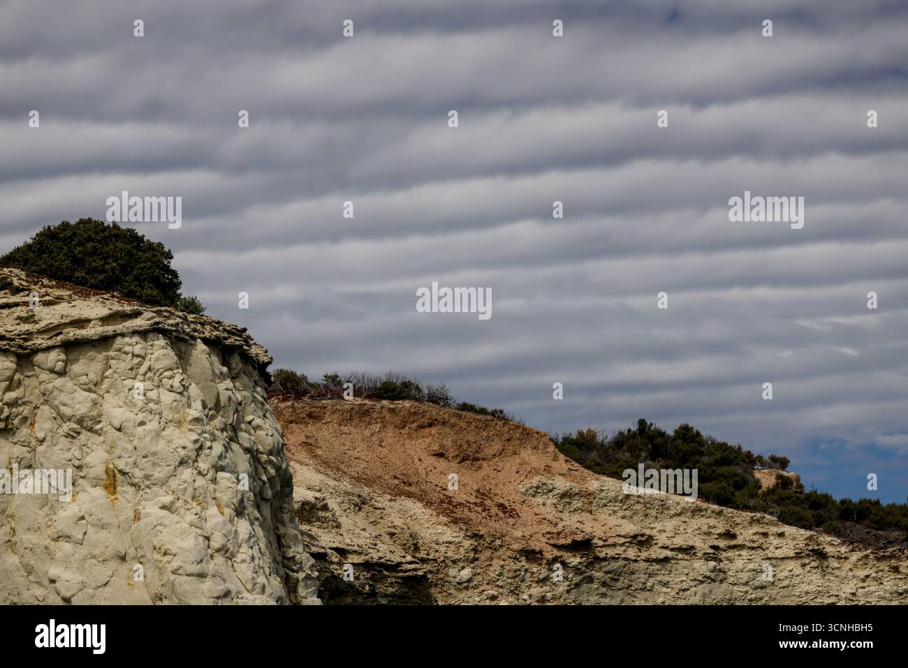 Tierwelt und Touristen an den Ufern von Puerto Madryn, Argentia Stockfoto