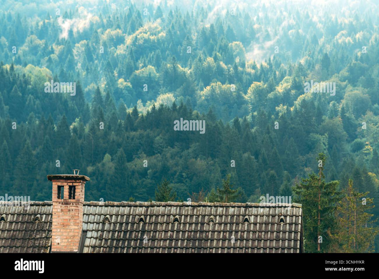 Traditioneller Kamin auf einem alpinen Dach mit immergrünem Wald und Julischen Alpen im Hintergrund, Slowenien. Selektiver Fokus. Stockfoto