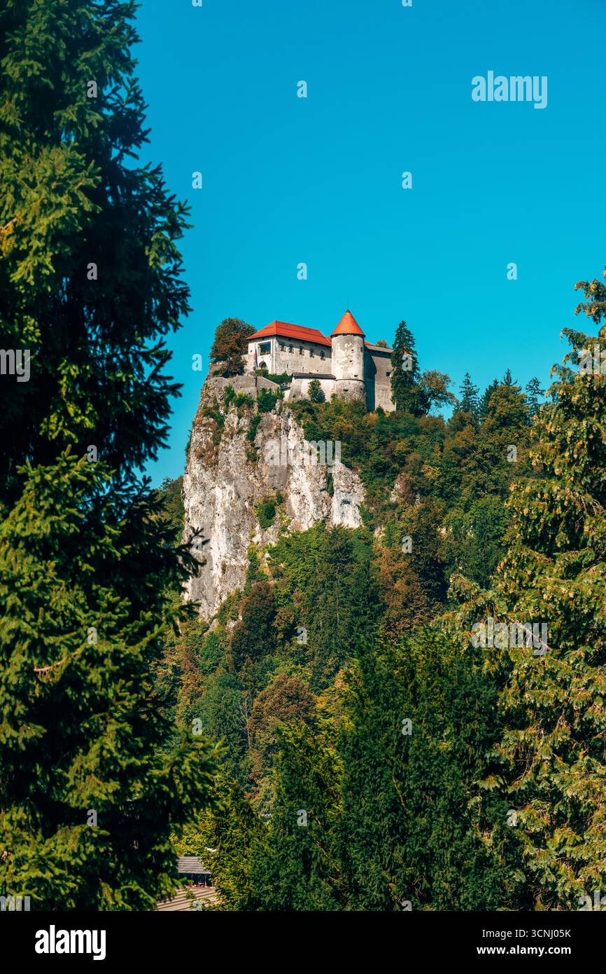 Historische Burg Bled, die älteste Burg Sloweniens, erbaut 1004, mit mittelalterlicher Architektur und kulturellem Erbe auf einer felsigen Klippe über dem See Stockfoto