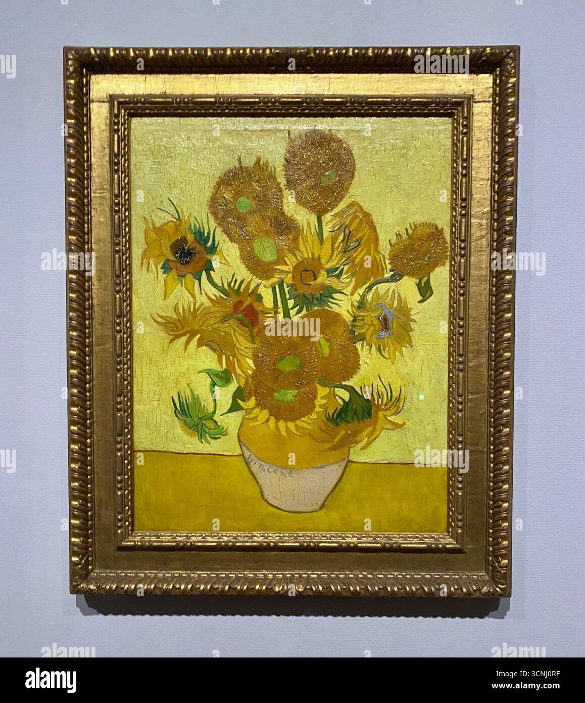 Van Goghs Gemälde mit Sonnenblumen gehören zu seinen berühmtesten. In den Jahren 1888 und 1889 malte Vincent insgesamt fünf große Leinwände mit Sonnenblumen in einer Vase , drei Gelbtöne und nichts anderes . Auf diese Weise zeigte er , dass es möglich war , ein Bild mit zahlreichen Variationen einer einzigen Farbe ohne Eloquenzverlust zu erzeugen . Stockfoto
