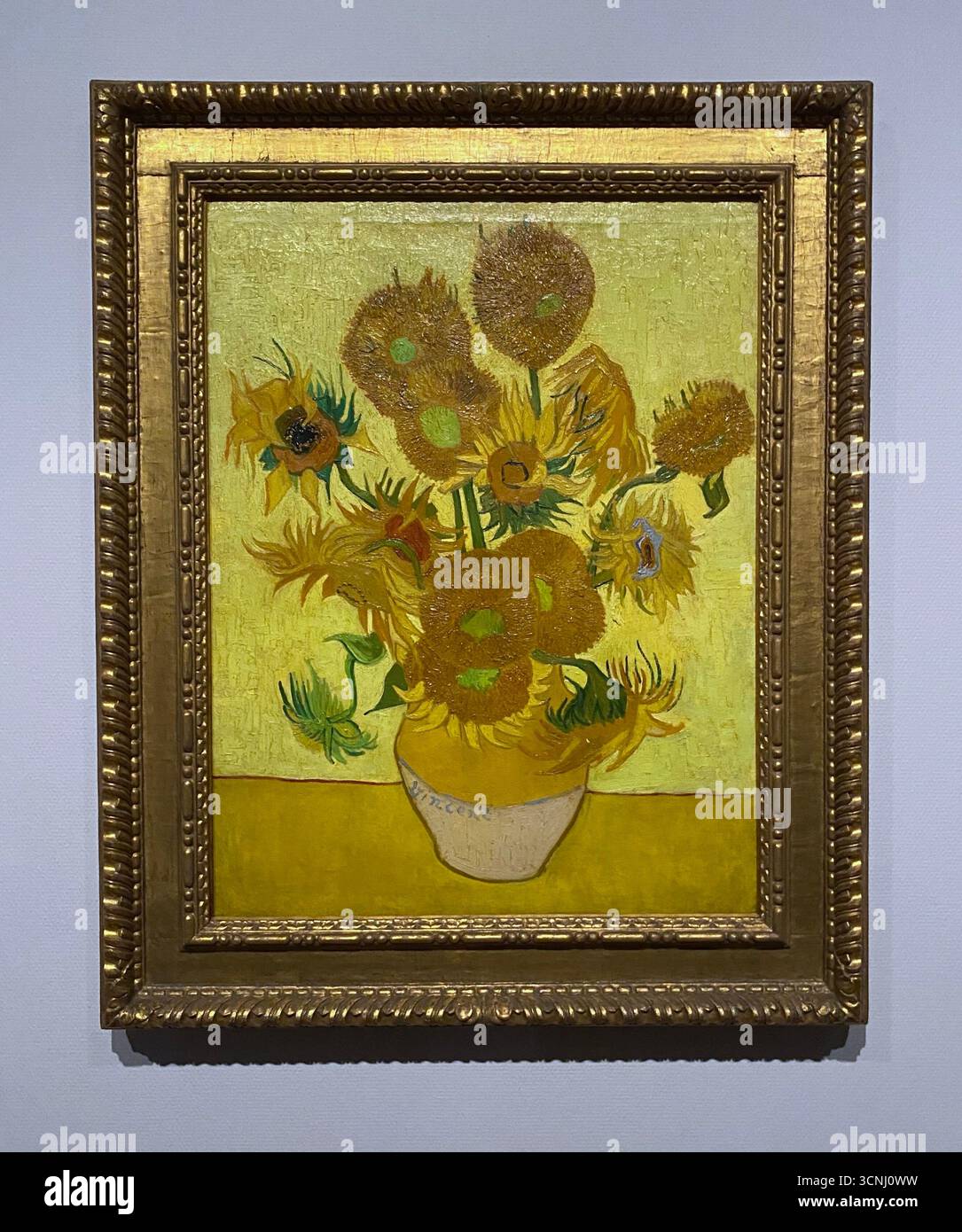 Van Goghs Gemälde mit Sonnenblumen gehören zu seinen berühmtesten. In den Jahren 1888 und 1889 malte Vincent insgesamt fünf große Leinwände mit Sonnenblumen in einer Vase , drei Gelbtöne und nichts anderes . Auf diese Weise zeigte er , dass es möglich war , ein Bild mit zahlreichen Variationen einer einzigen Farbe ohne Eloquenzverlust zu erzeugen . Stockfoto