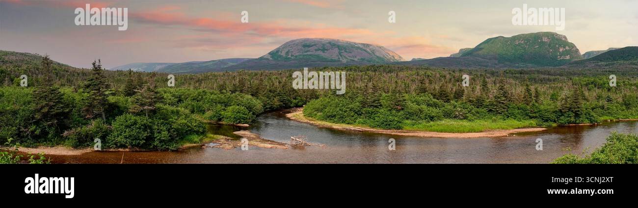 Ein Fluss fließt sanft durch lebendige grüne Wälder im Gros Morne National Park in Neufundland und schafft eine friedliche Atmosphäre in der Natur. Stockfoto