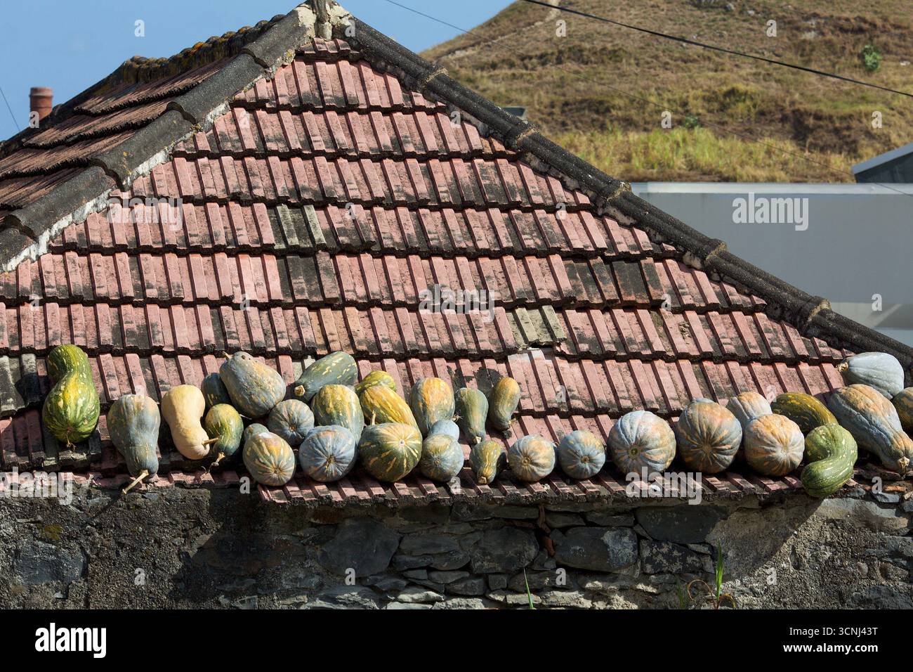 Madeira Island, Nordatlantik Stockfoto