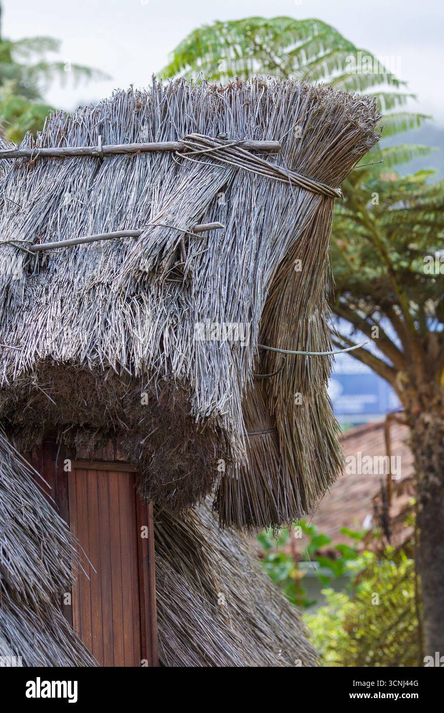 Madeira Island, Nordatlantik Stockfoto