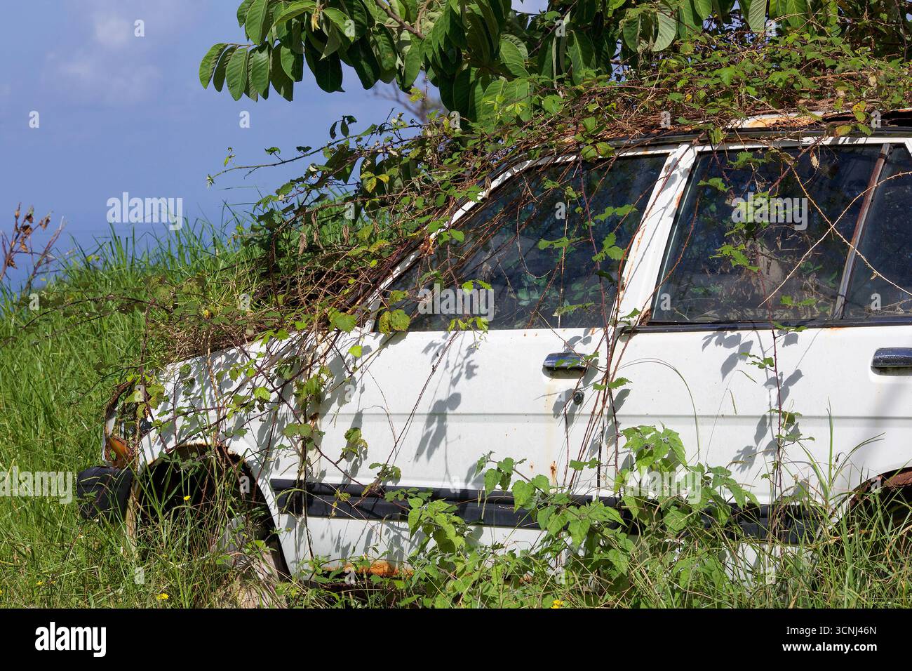 Madeira Island, Nordatlantik Stockfoto