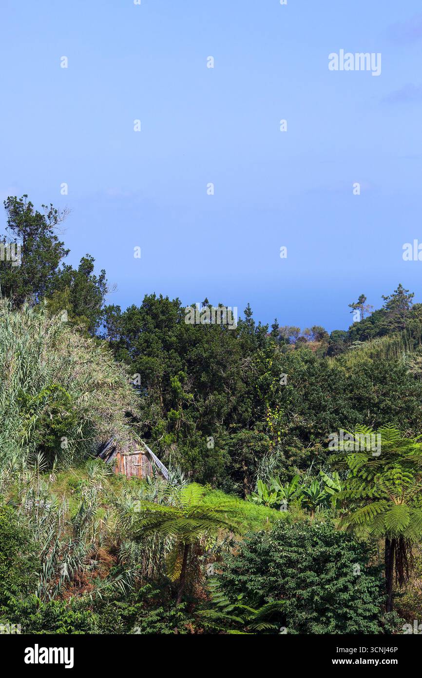 Madeira Island, Nordatlantik Stockfoto