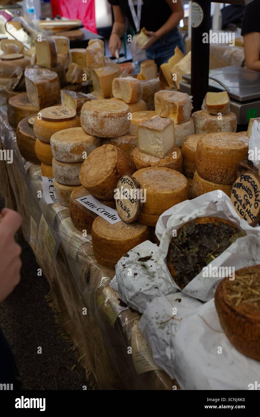 Große Ausstellung von handwerklich hergestellten Käseröhren und Keilen am Marktstand im Freien während des Cheese 2025, dem zweijährlichen Slow Food Festival in Bra, Italien. Verschiedene Stockfoto