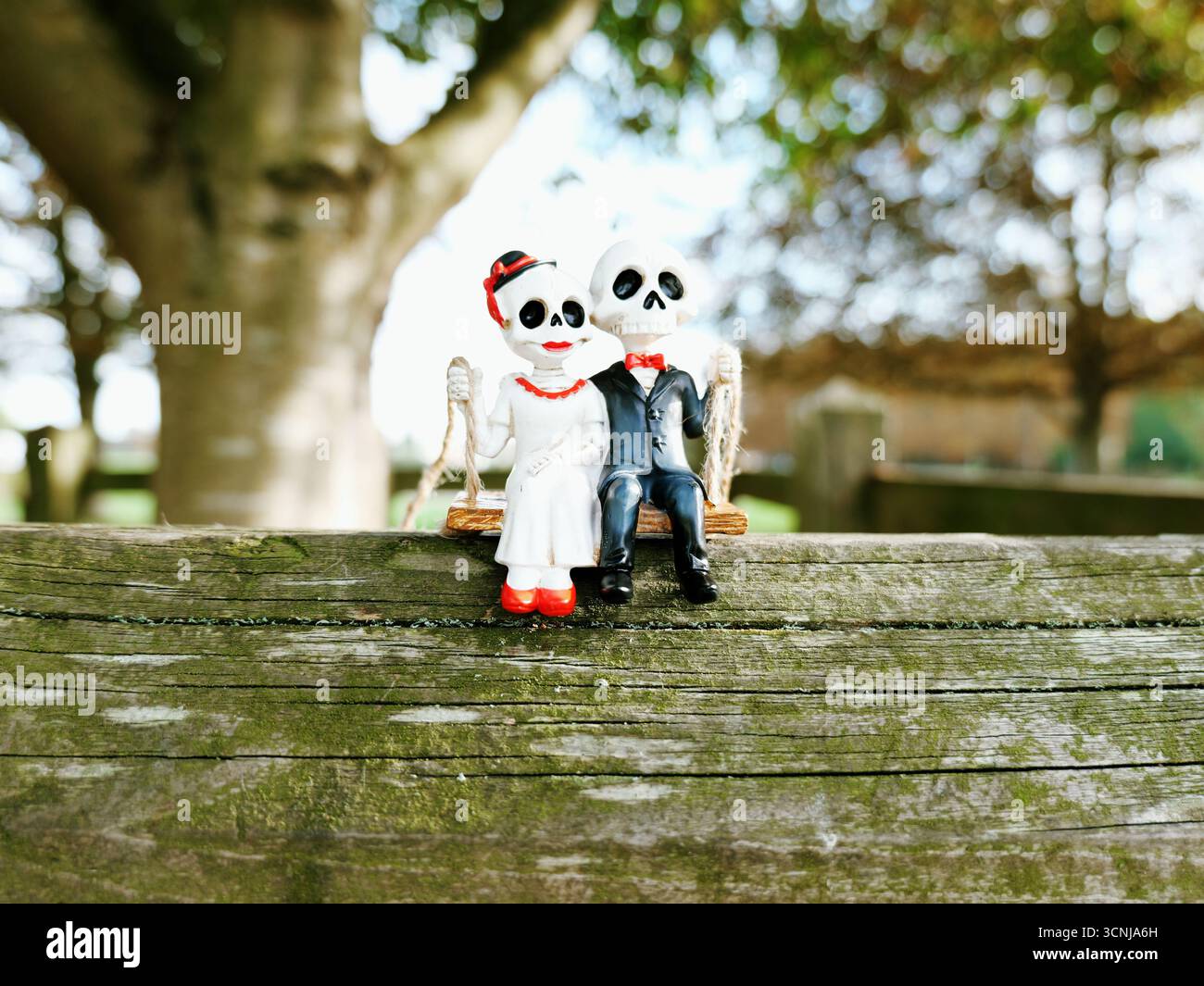 Skelett Paar Spielzeug halloween Stockfoto