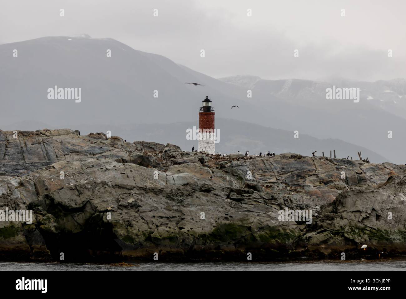 Der Leuchtturm Les Eclaireurs, auch bekannt als „Leuchtturm am Ende der Welt“, steht isoliert auf einer felsigen Insel im Beagle Channel nahe USH Stockfoto