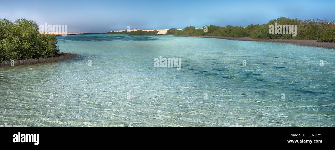Mangrovenwald im Ras Mohammed National Park. Sharm el Sheikh, Sinai-Halbinsel, Ägypten Stockfoto Mangrovenwald im Ras Mohammed National Park. Sharm el Sheikh, Sinai-Halbinsel, Ägypten Stockfoto