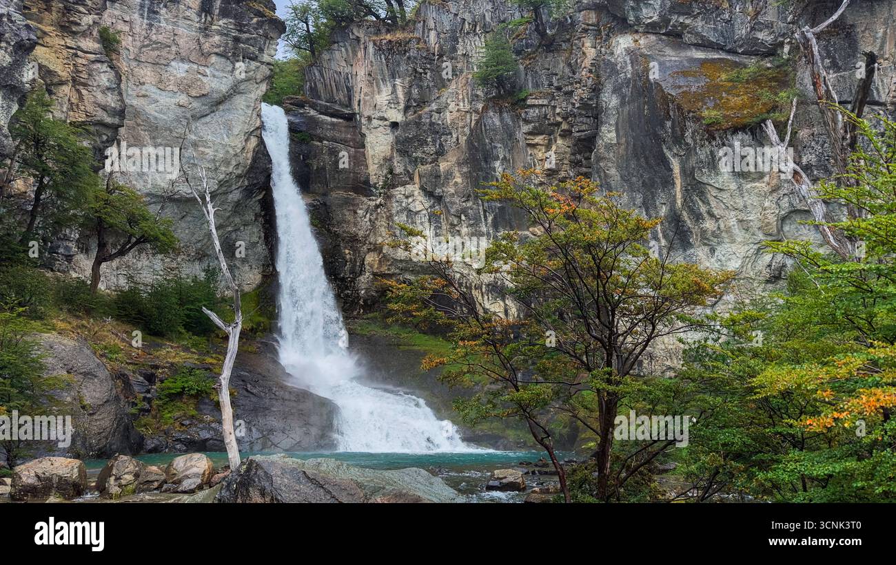 Chorrillo del Salto, Wasserfall aus der Mitte des Waldes, El Chalten, Patagonien Argentinien Stockfoto