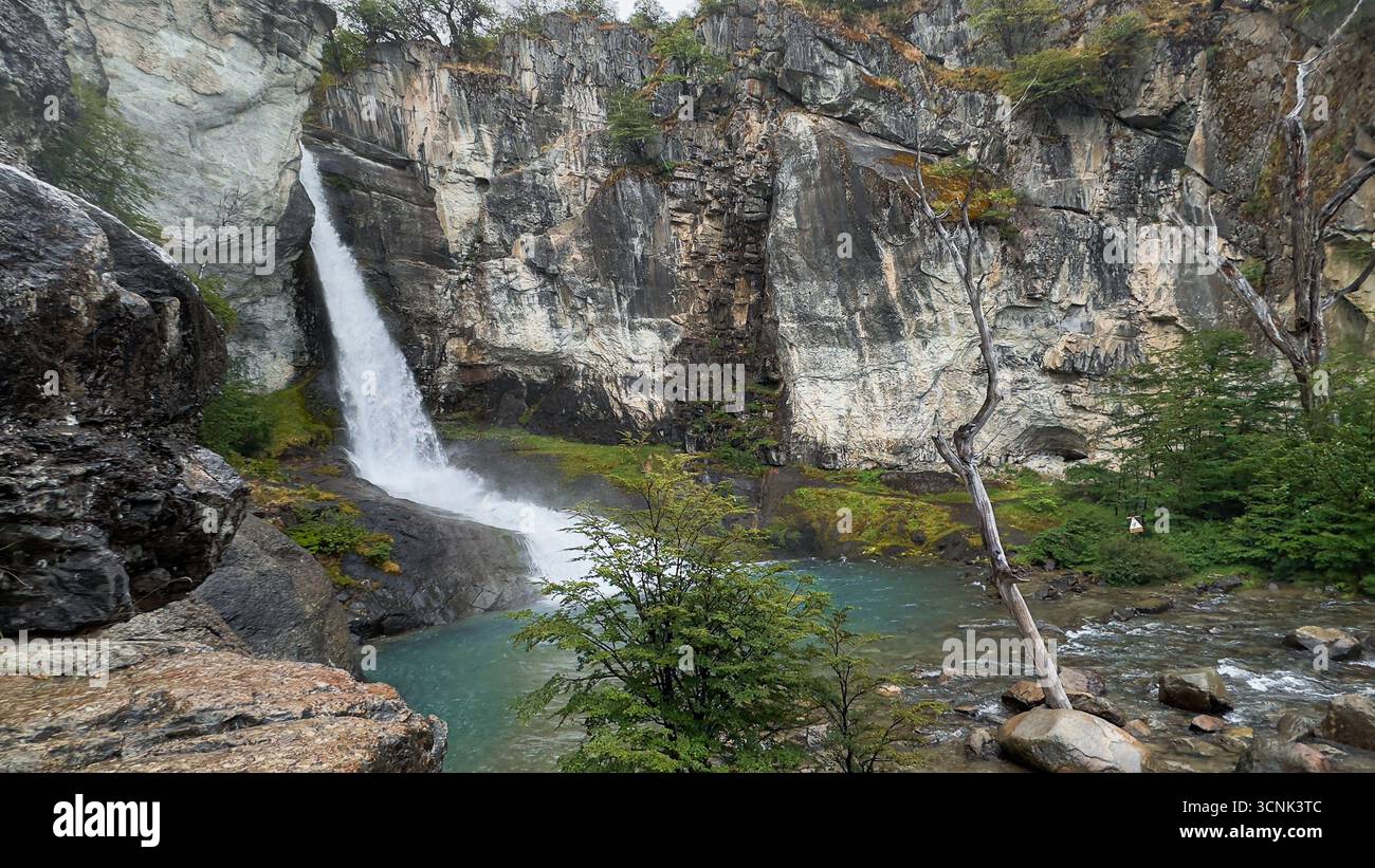 Chorrillo del Salto, Wasserfall aus der Mitte des Waldes, El Chalten, Patagonien Argentinien Stockfoto