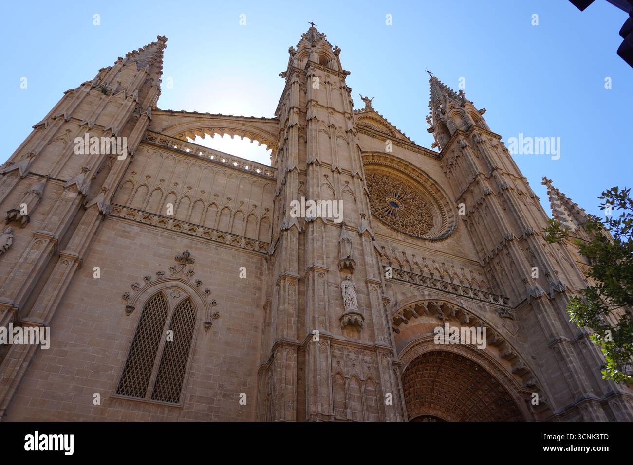 Die majestätische Kathedrale La Seu (Kathedrale Santa María von Palma) auf Mallorca, Spanien. Ein atemberaubendes Beispiel gotischen Stils. Stockfoto