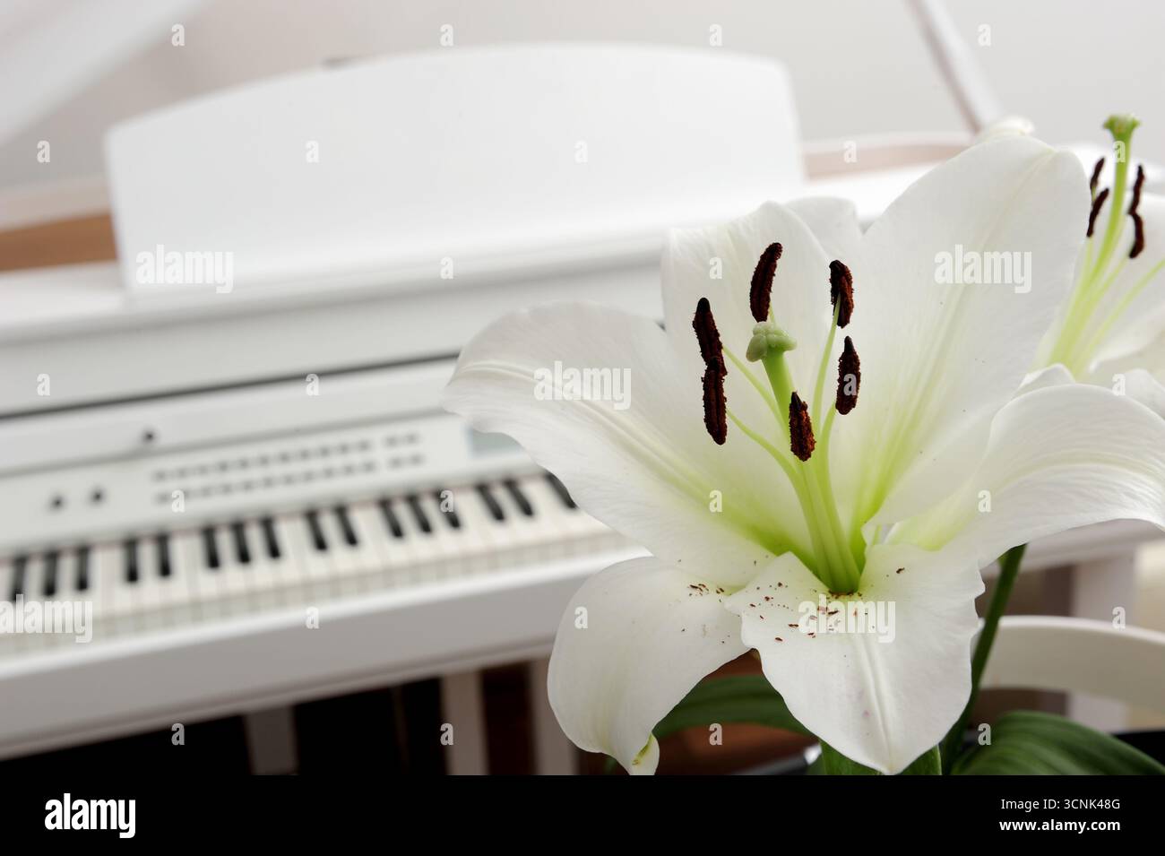 Musikunterricht, Musik lernen, magische Musik, Musik lernen, Musik kopieren, Musik-Heimtherapie, Klavier, Lifestyle-Musik Zuhause, Stockfoto