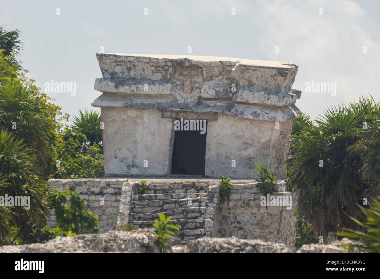 Ganz in der Nähe eines wunderschönen alten maya-Tempels mit einem geschnitzten Stein und Treppen in die archäologische Zone von tulum Stockfoto
