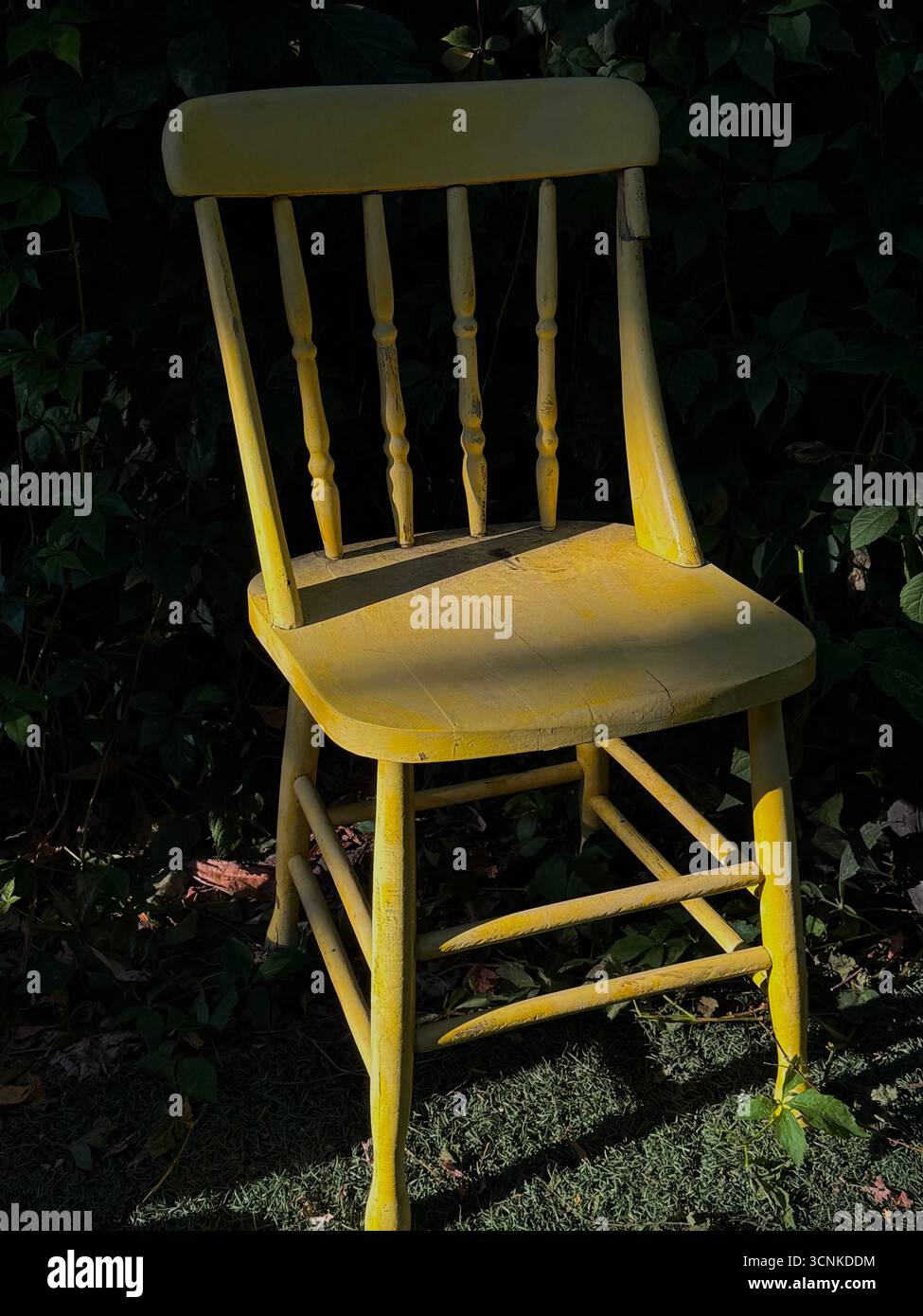 Gelber Stuhl - Smartphone-aufgenommenes Stockfoto