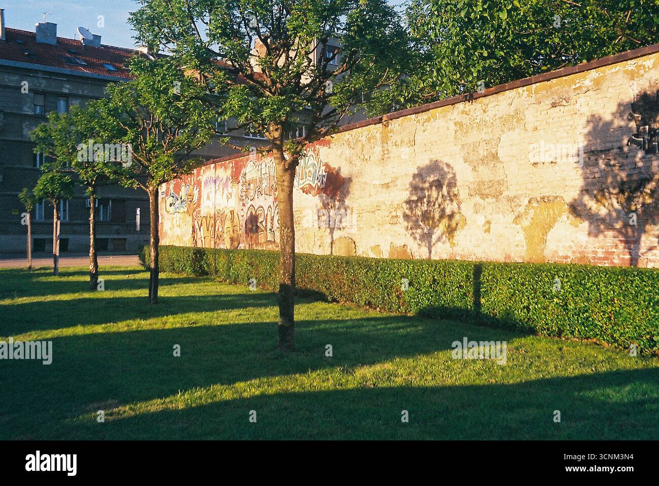 Analoges Foto einer verfallenden Wand mit Schatten von Bäumen, die bei Sonnenuntergang darüber geworfen werden. Warmes, nostalgisches Licht und Texturen schaffen eine ruhige, emotionale Atmosphäre Stockfoto