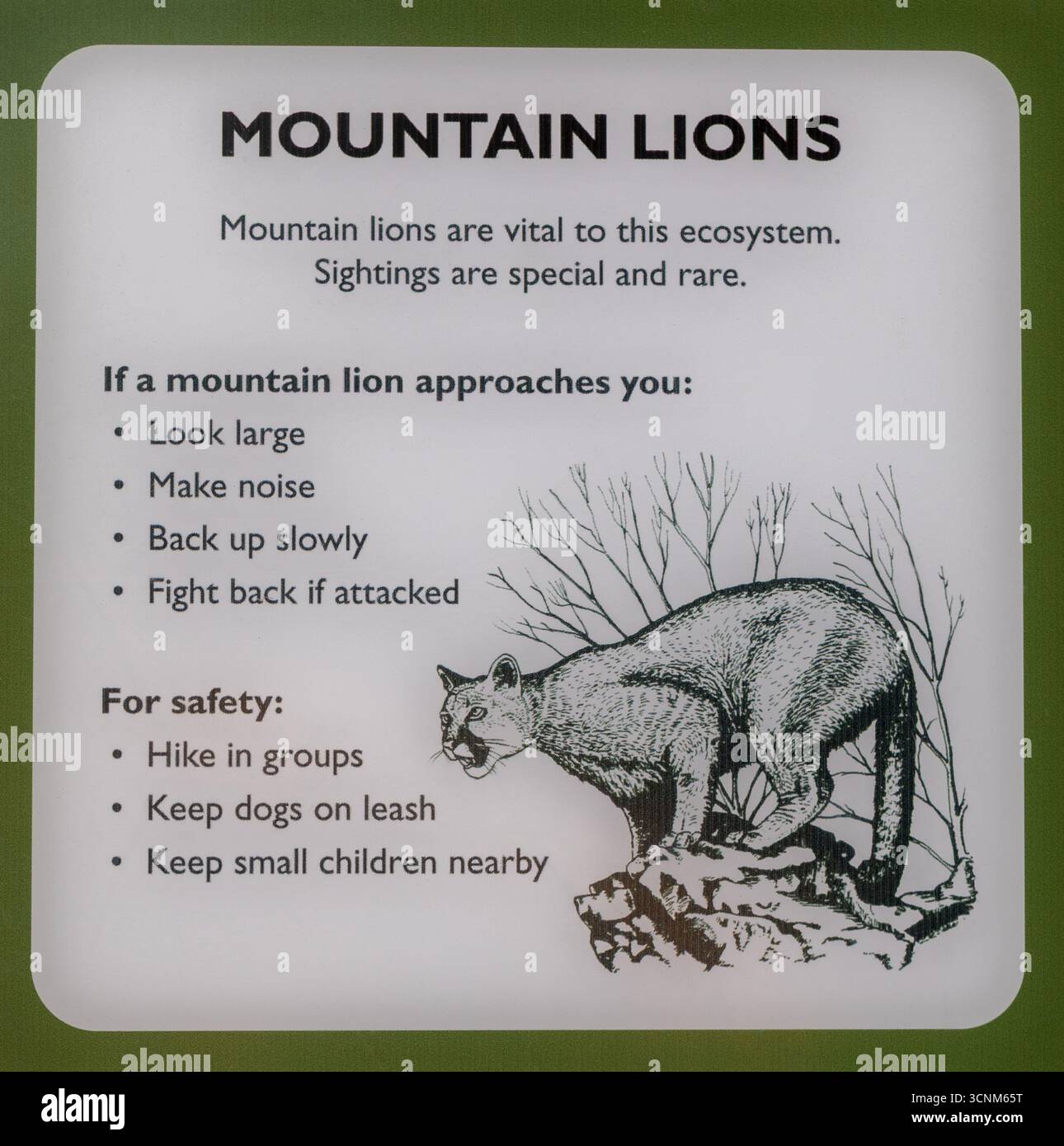 Sunol, Kalifornien, USA - 20. September 2025: Mountain Lions Sign in Sunol Regional Wilderness. Stockfoto