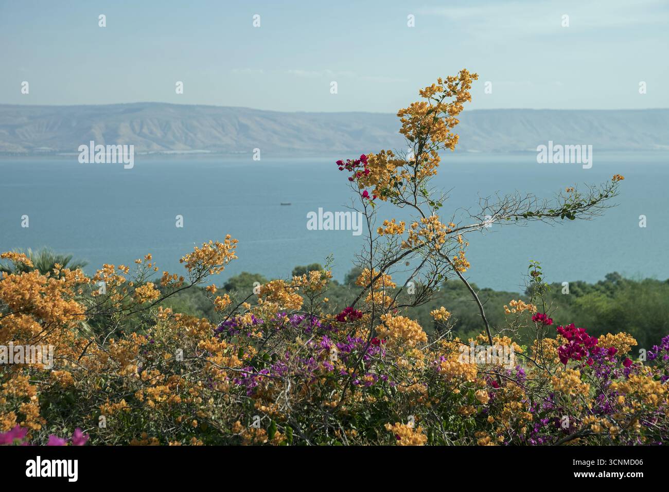 Israel Galiläa Blick auf den Tibériade-See (Meer von Galilee) und die Golanhöhen vom Seligpreisungen; Blick vom Berg der Seligpreisungen Stockfoto
