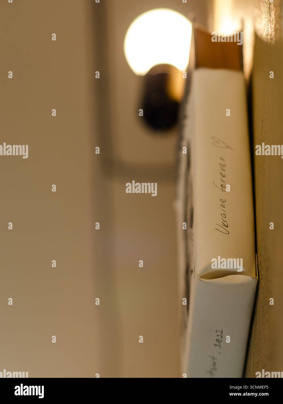 Nahaufnahme von Wandleuchte und Buchrücken in einem gemütlichen Café, sanftes Licht und minimalistisches Detail. Stockfoto