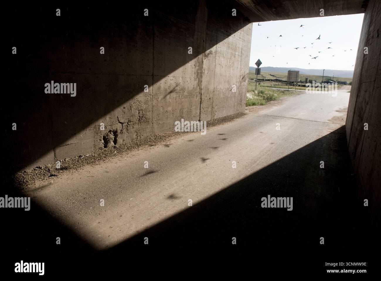 Die langen Schatten unter diesem Colorado-Unterführungstunnel verbergen die Schlammnester, die von den Schwalben im Flug gemacht wurden; hinterleuchtet Stockfoto