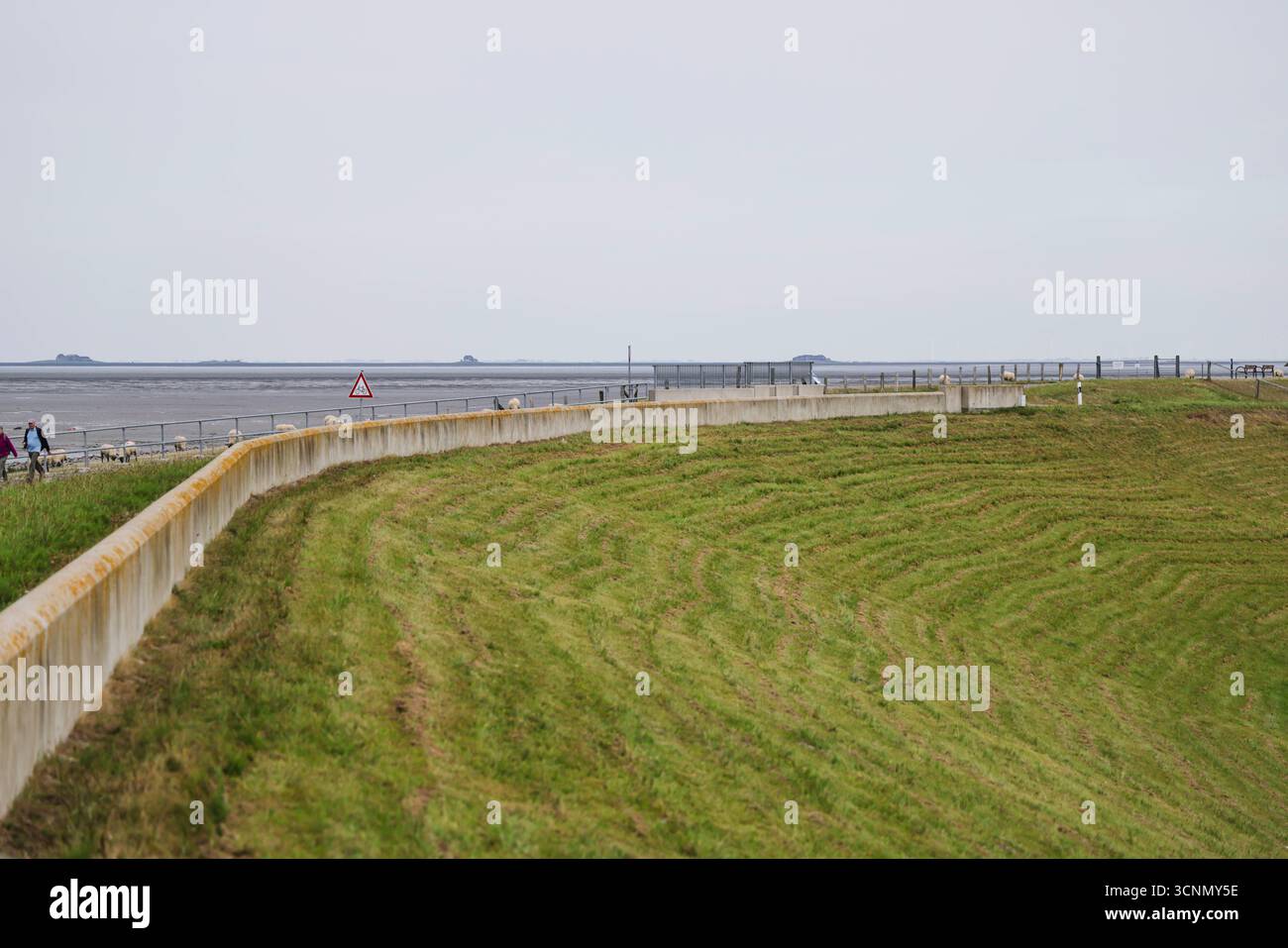 Nordstrand, Deutschland. September 2025. Eine Mauer steht am Alten Koog-Schutzdeich in Strucklahnungshörn (Landkreis Nordfriesland). Die jährlichen Herbstdeichkontrollen in Schleswig-Holstein begannen am 22. September 2025. Vor der Sturmflut-Saison werden Kontrollen durchgeführt, um sicherzustellen, dass die Deiche an der Westküste widerstandsfähig sind, damit die Menschen sicher zwischen Nord- und Ostsee leben können. Die Deichinspektionen sollten bis Anfang November abgeschlossen sein. Frank Molter/dpa/Alamy Live News Stockfoto