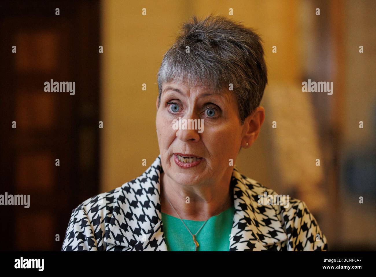 Allison Coyle, Patientenvertreterin ihres Ehemanns Stephen Coyle, spricht nach einem Treffen mit SDLP MLA Justin McNulty in den Parlamentsgebäuden in Belfast vor den Medien, um die dringende Notwendigkeit eines gerechten Zugangs zur CAR-T-Zelltherapie in Nordirland zu fordern. Bilddatum: Montag, 22. September 2025. Stockfoto