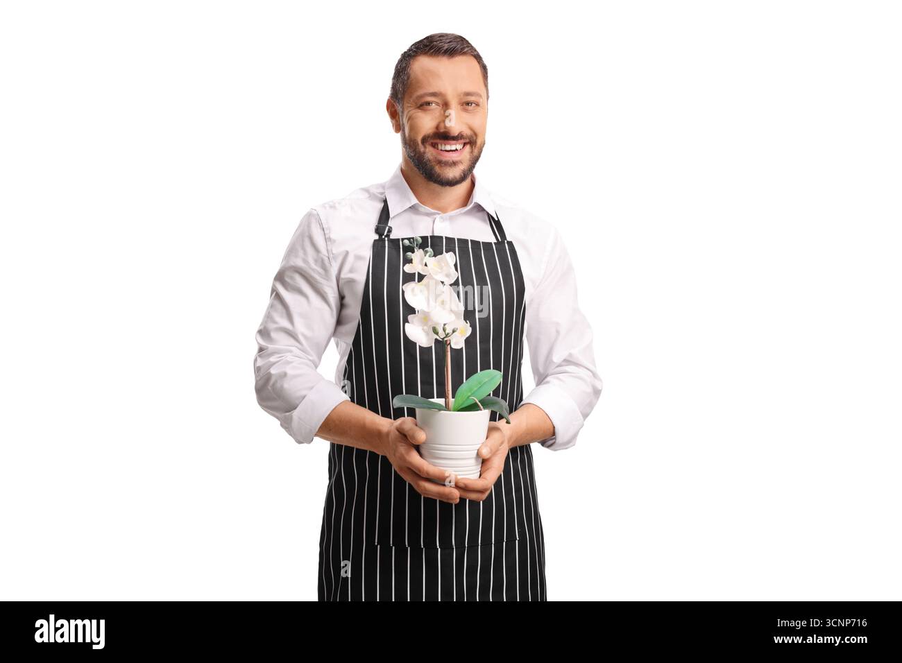 Männlicher Blumenhändler, der Orchideenblume in einem Topf hält und auf weißem Hintergrund lächelt Stockfoto