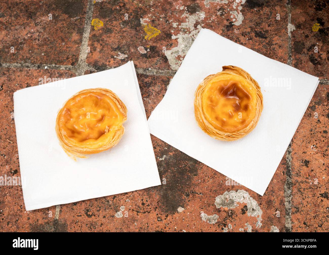 Zwei Pastéis de nata, oder Puddingtorten, in Óbidos, Portugal, Europa Stockfoto