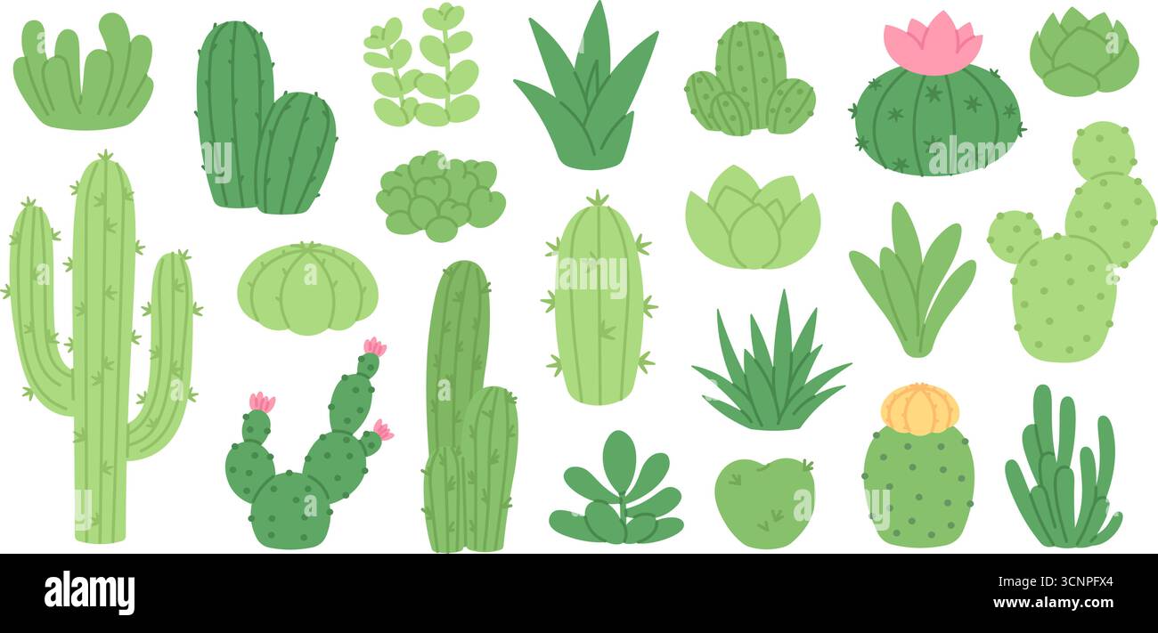 Cartoon Sukkulenten. Kakteen und Sukkulenten, Steinrose, Aloe. Blühende und grüne Kritzelkakteen, Wüstenblumen. Isolierter Garten, rassiger Vektor-Clipart Stock Vektor