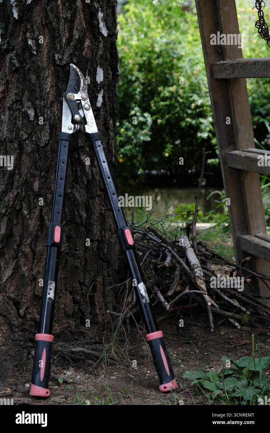 Eine Gartenschere mit ausziehbaren Griffen zum Schneiden von Ästen und Beschneiden. Das Werkzeug ruht auf einem Baumstamm in einer rustikalen Umgebung im Hinterhof. Stockfoto
