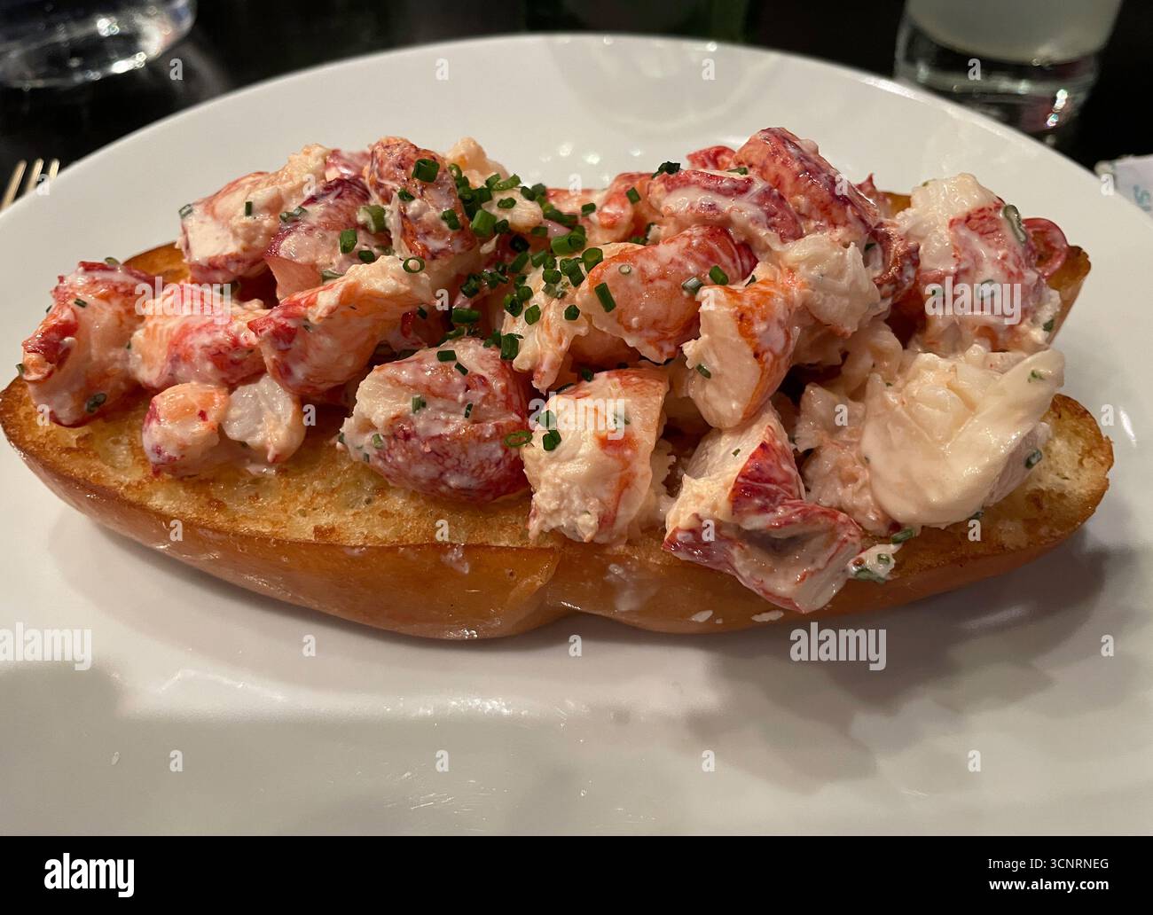 Das Terrace Café befindet sich im Museum of Modern Art und bietet ein köstliches Lobster Roll Sandwich New York City, USA, 2025 Stockfoto