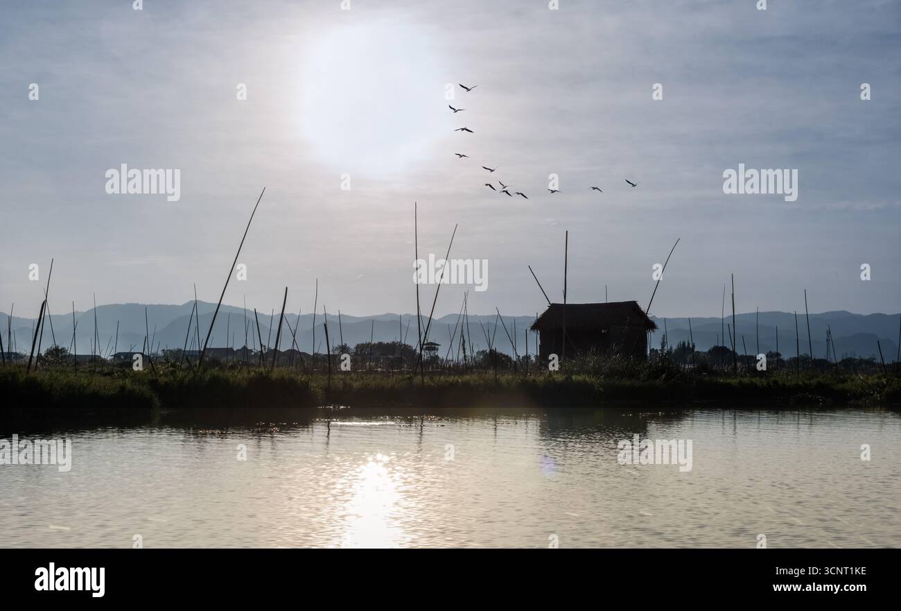 Ruhiger Sonnenaufgang über dem Inle-See mit Vögeln im Flug, traditioneller Hütte und Bambusstangen, die das ländliche Leben in der Natur Myanmars widerspiegeln Stockfoto