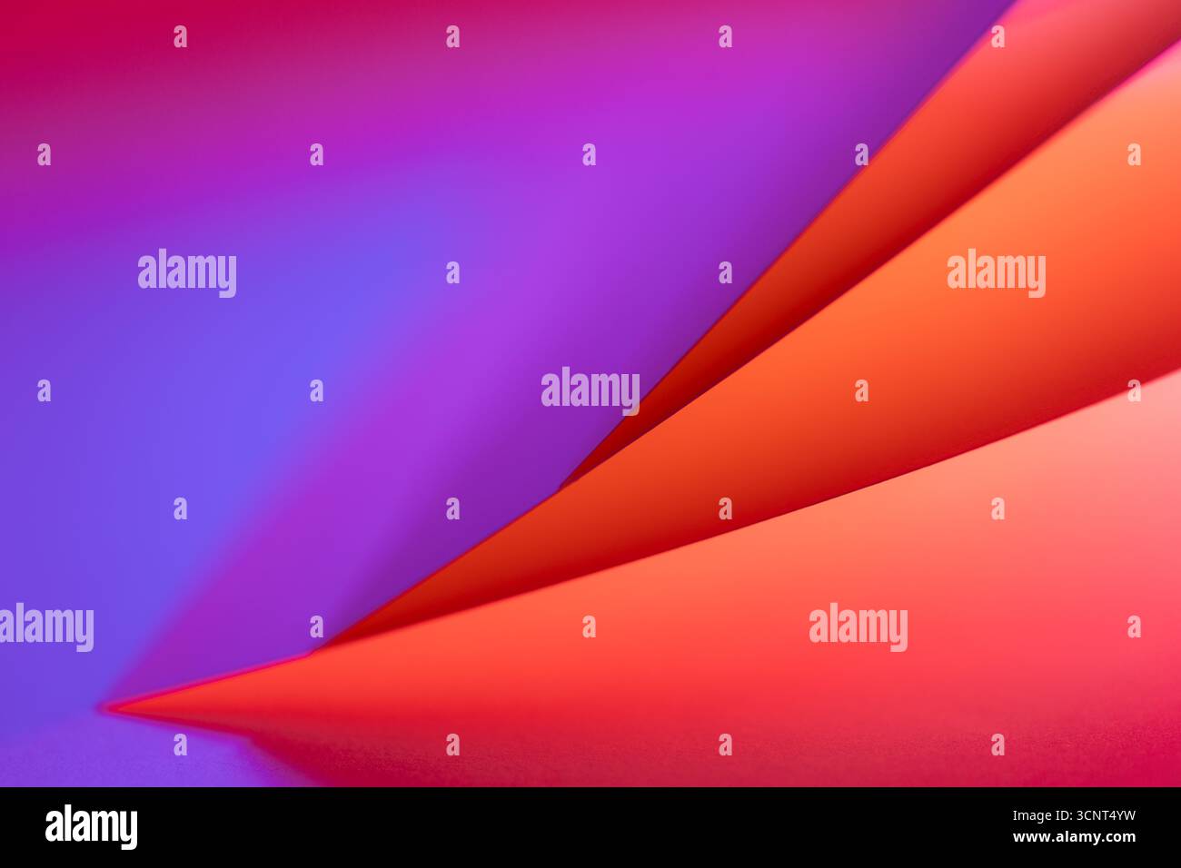 Geschwungene Formen in leuchtendem Rot, Rosa und Violett verschmelzen harmonisch und schaffen eine fesselnde abstrakte Komposition, die den Betrachter zum Entdecken einlädt Stockfoto