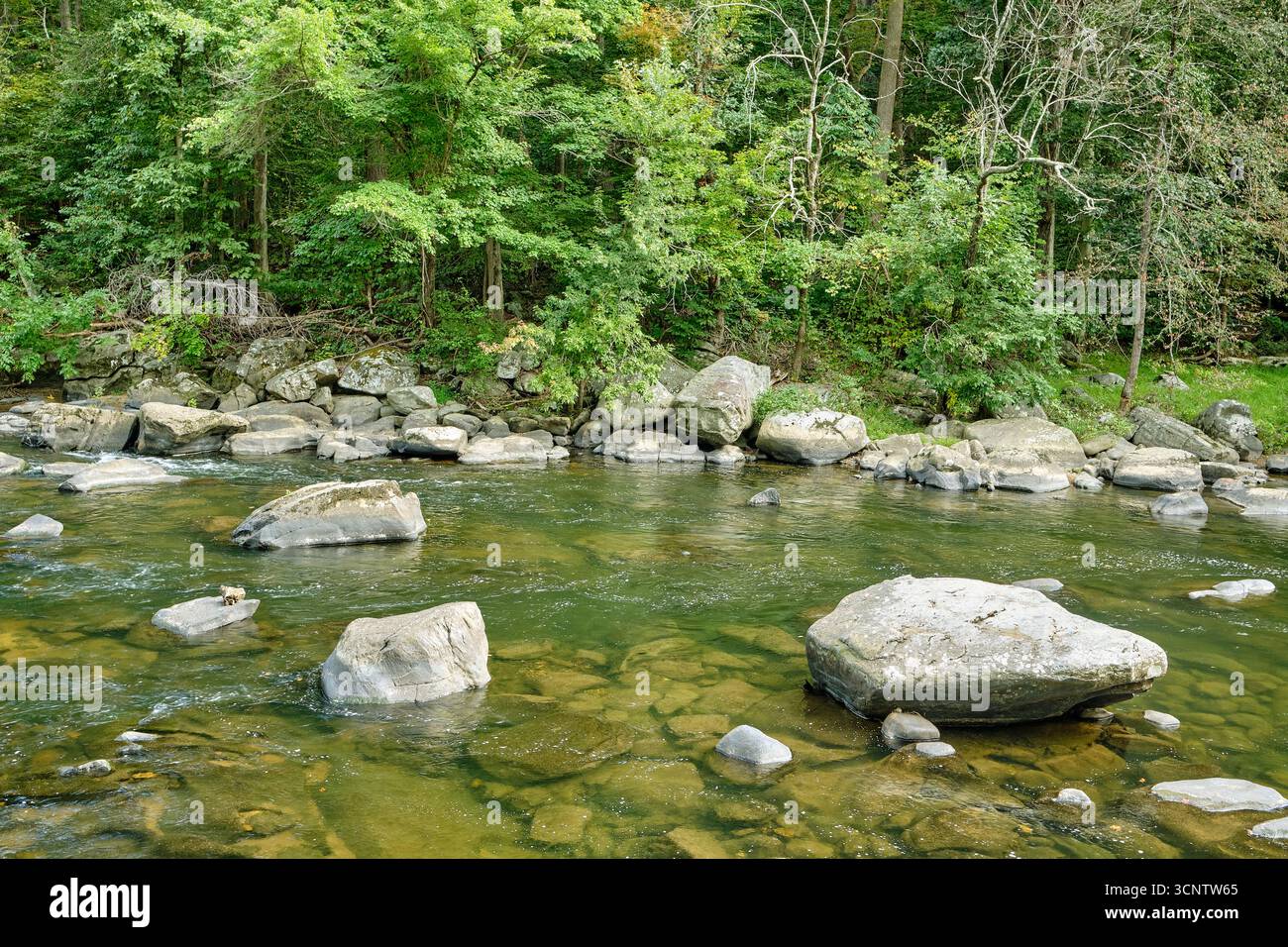 Der Brandywine Creek fließt vorbei am historischen Hagley Museum in Wilmington, Delaware, und bietet malerische Ausblicke auf das Wasser inmitten des frühen amerikanischen Industriekonzerns. Stockfoto