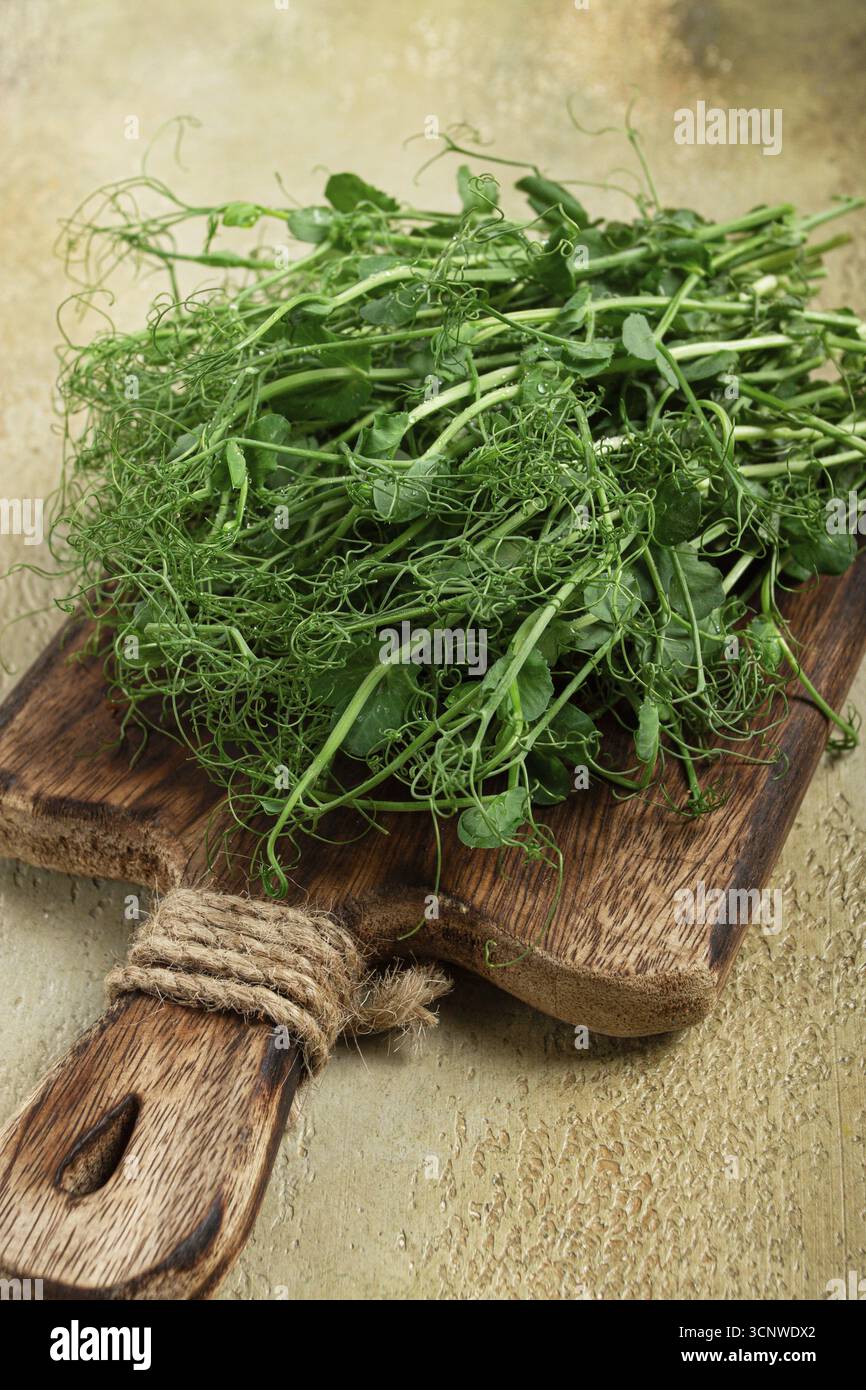 Auf einem rustikalen Schneidebrett aus Holz liegen leuchtende grüne Erbsensprossen, die ihre zarten Ranken zeigen, die in Salaten oder als Beilage verwendet werden können Stockfoto