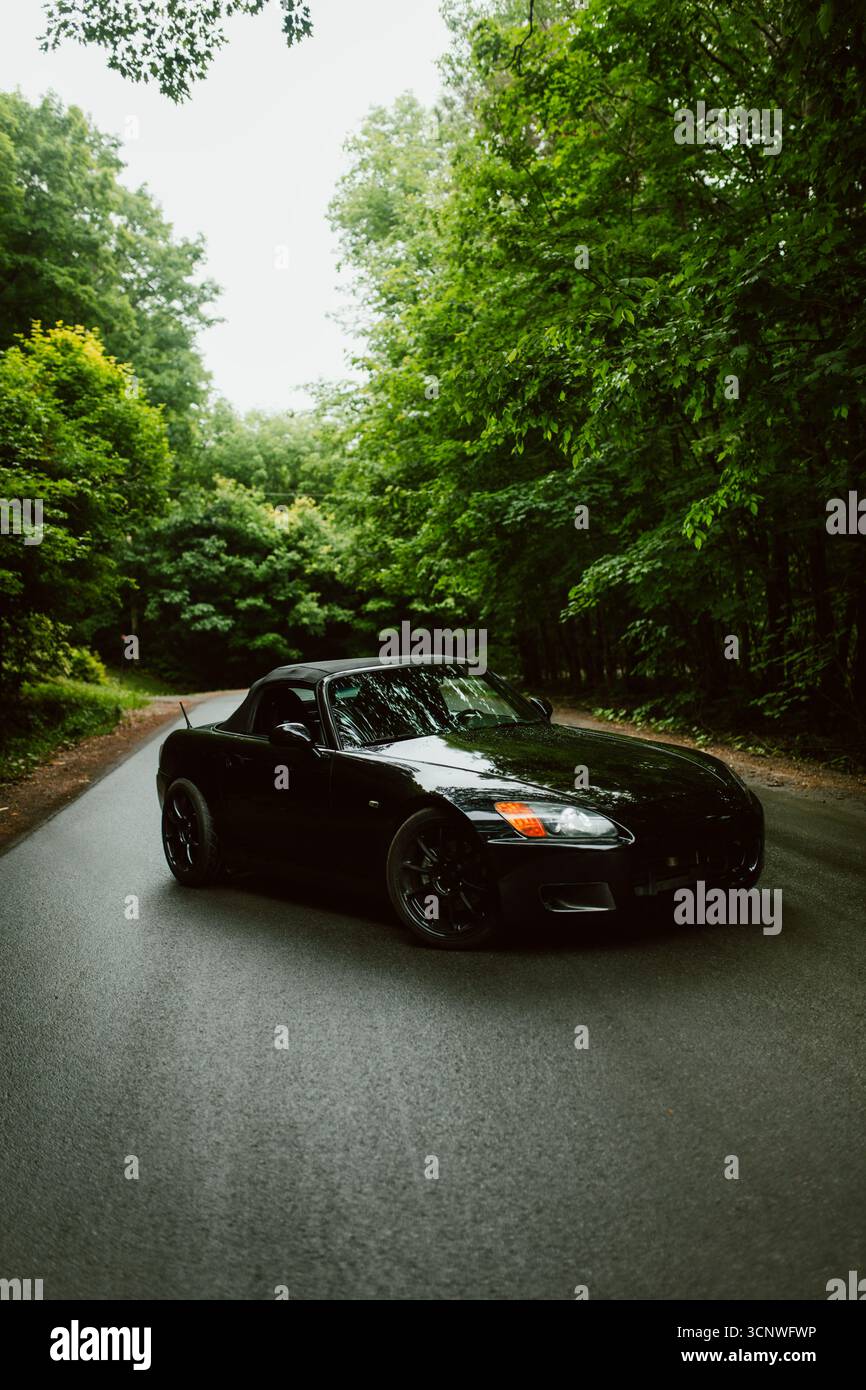 Ein elegantes schwarzes Cabrio, das auf einer malerischen Straße geparkt ist und von üppigen grünen Bäumen umgeben ist. Das klassische Design des Fahrzeugs ergänzt das ruhige Ambiente Stockfoto