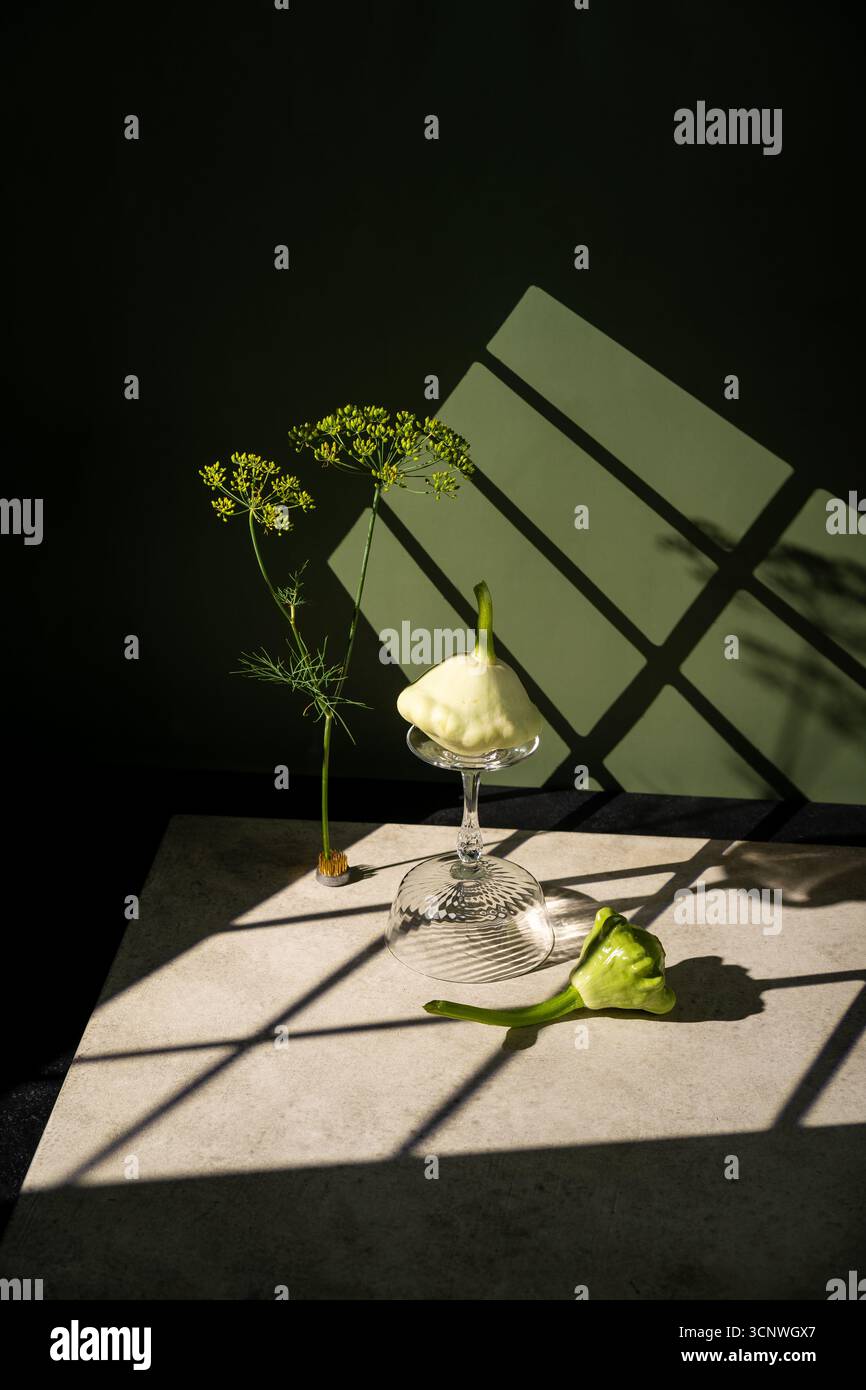 Kreatives Stillleben mit pattypischem Kürbis auf einem umgedrehten Glas mit Dillblüten und einem weiteren Kürbis auf dem Tisch. Saubere Komposition mit Künstler Stockfoto