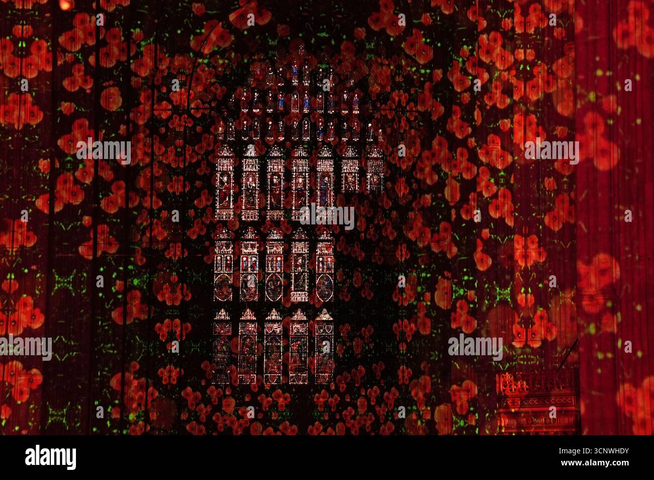 Ein Blick auf die Installation Poppy Fields, eine immersive Klang- und Lichtinstallation von Luxmuralis, die an den Ersten und Zweiten Weltkrieg erinnert und in der Kathedrale von Canterbury in Kent projiziert wurde. Bilddatum: Montag, 22. September 2025. Stockfoto