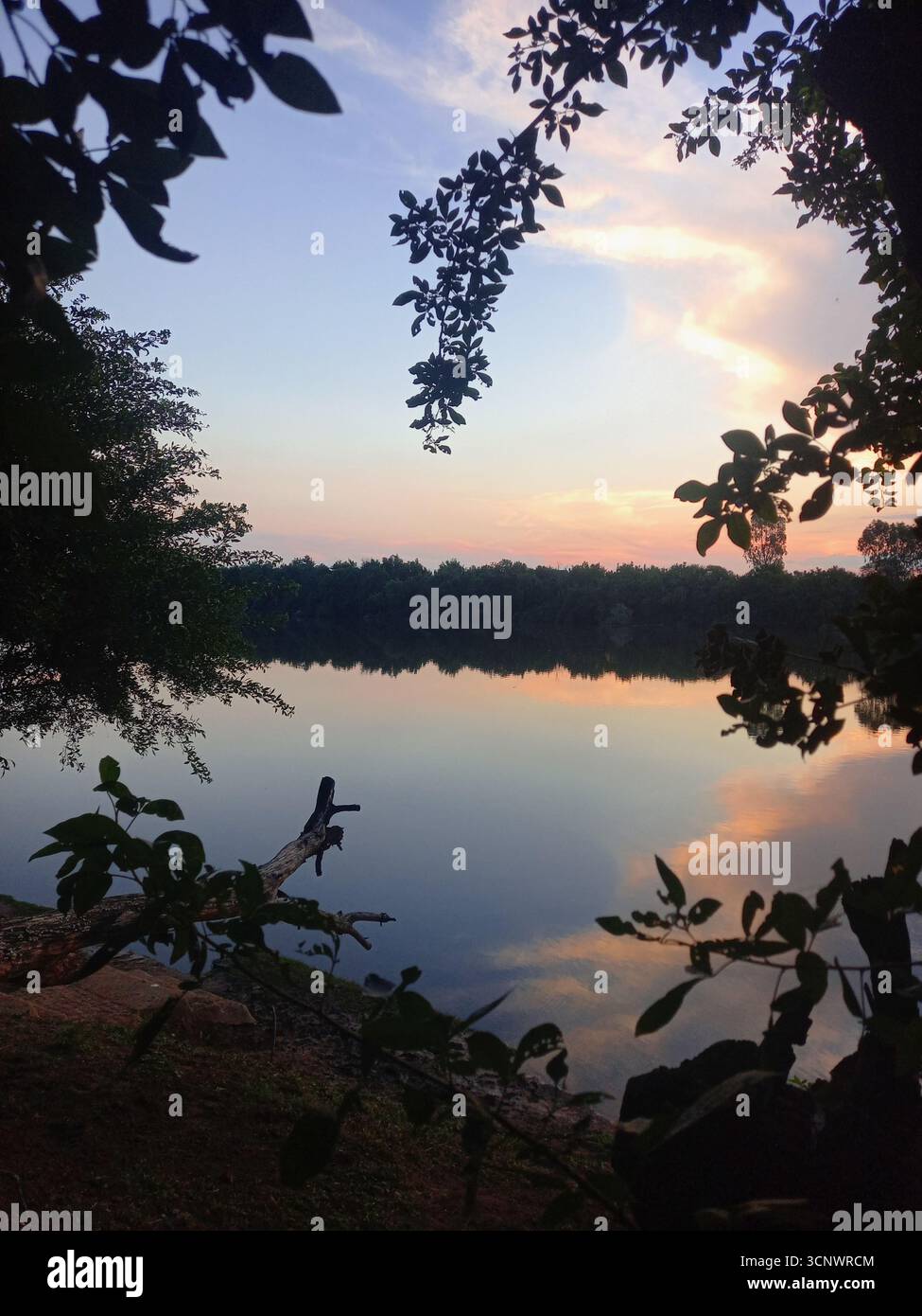 Mehrere Werte Stockfoto