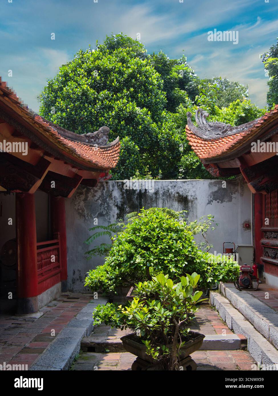 Vietnam Temple of Literature Innenhof - der Innenhof des Literaturtempels in Hanoi, mit traditioneller Architektur, einem Bonsai tr Stockfoto