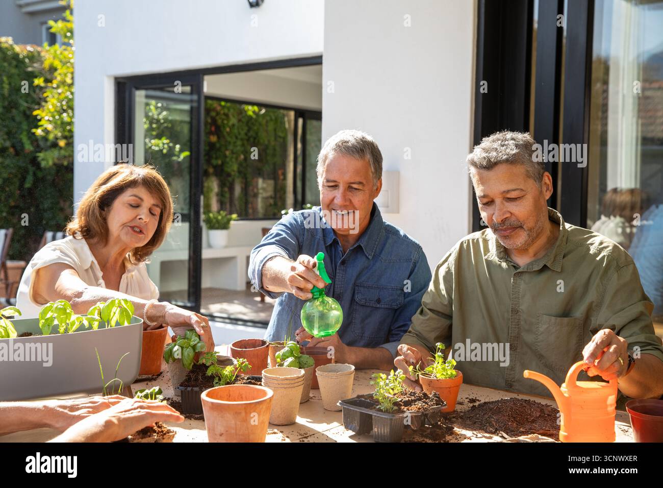 Verschiedene ältere Freunde bereiten Kräuterkeimlinge mit Sprühflasche zu, Gießkanne auf Terrassentisch Stockfoto