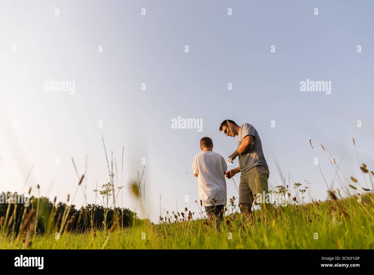 Ein Vater und sein kleiner Sohn teilen einen freudigen Moment in einem üppigen grünen Feld. Sie erkunden die Natur, erkunden die Umgebung und genießen die warme Atmosphäre Stockfoto