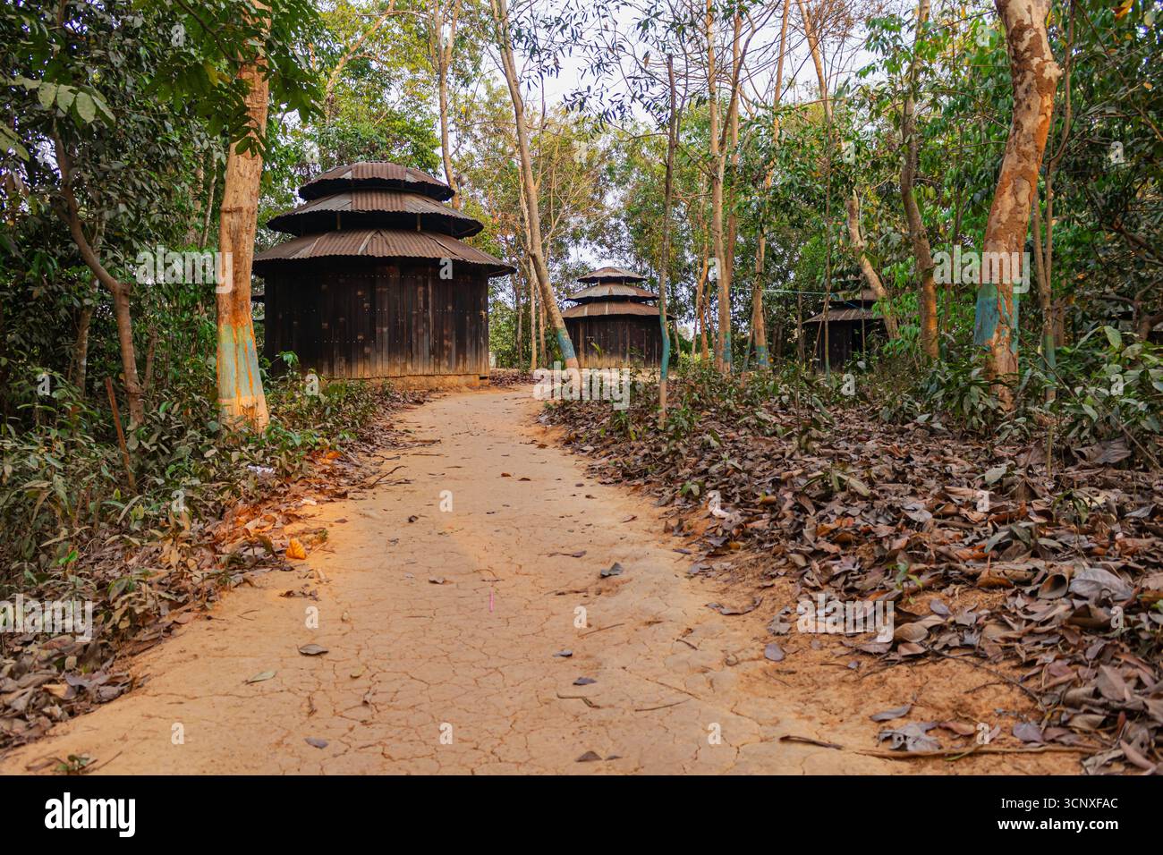 Kreisförmige hölzerne Klosterhütte im grünen tropischen Wald von Ramu. Stockfoto