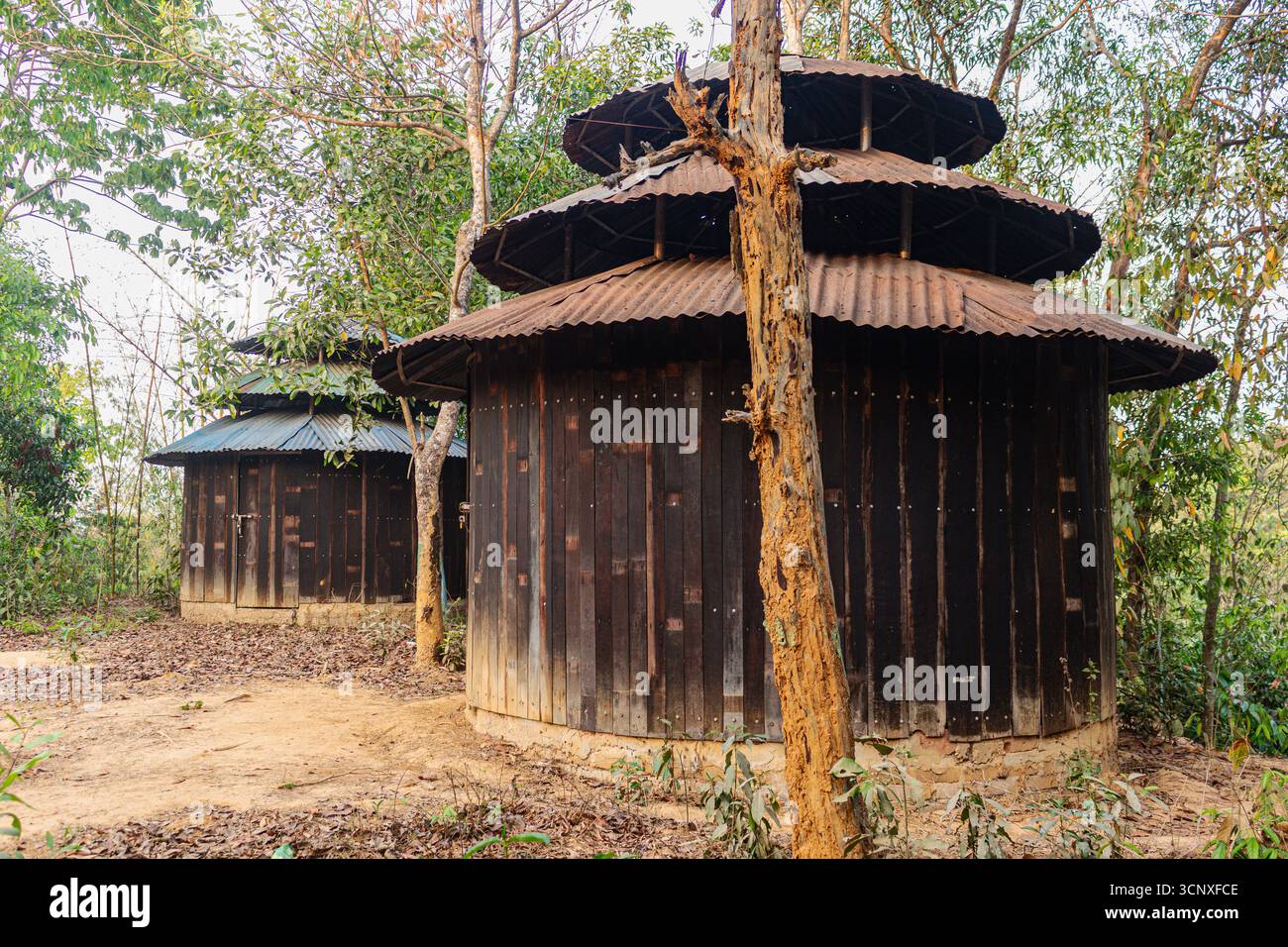 Historische Holzhütte mit rustikalem Schichtdach inmitten von Bäumen in abgeschiedenem Wald von Monstern. Stockfoto