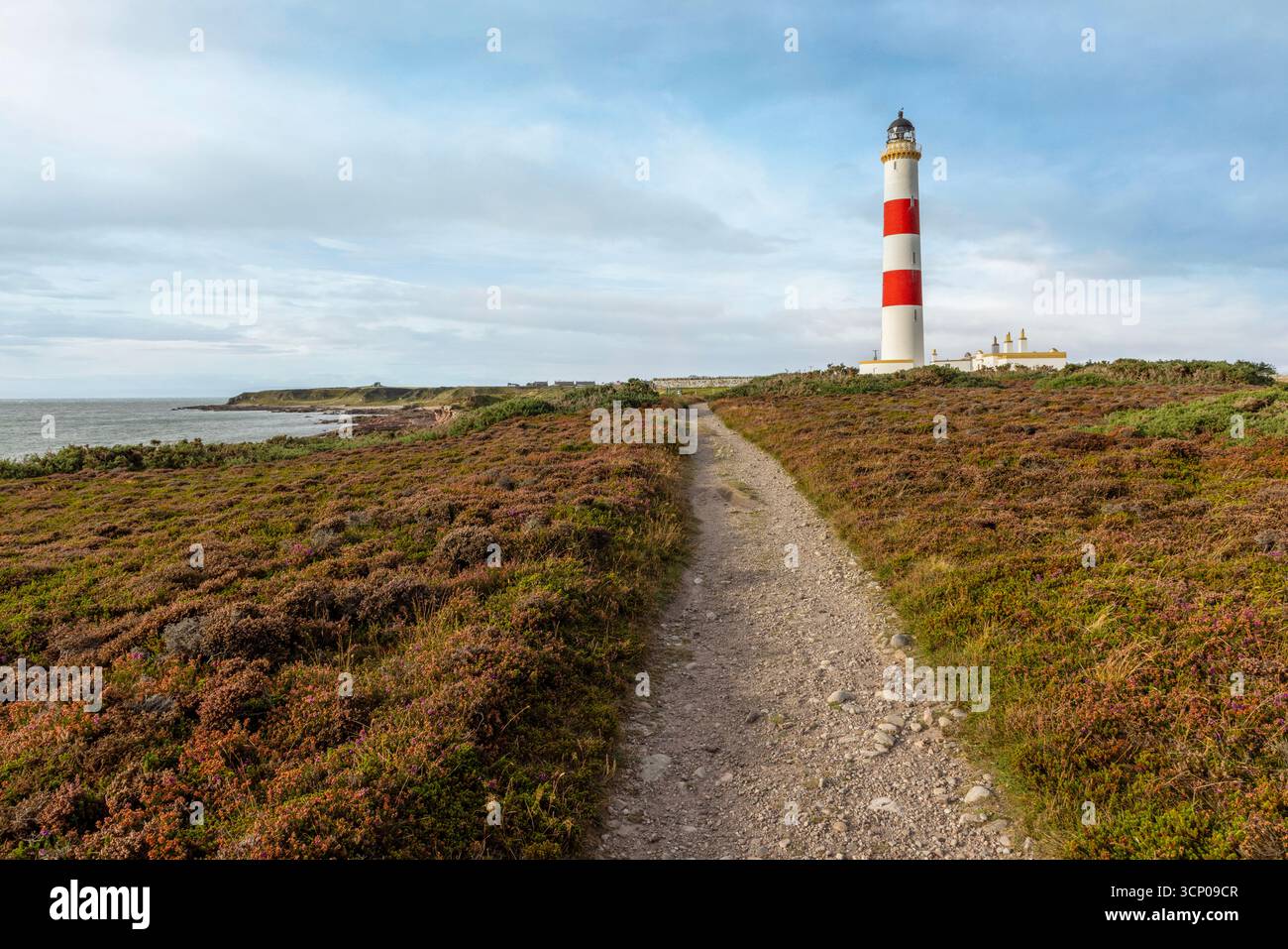 Tarbat Ness Lighthouse, ein markantes rot-weißes Leuchtfeuer auf der Osterross-Halbinsel, führt seit 1830 Schiffe im Moray Firth. Stockfoto